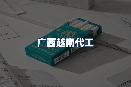 广西越南代工